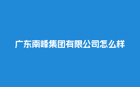 广东南峰集团有限公司怎么样?，广东南峰集团有限公司怎么样知乎？