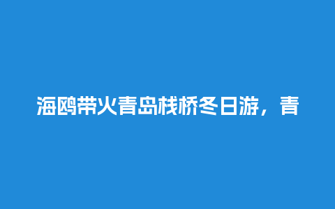 海鸥带火青岛栈桥冬日游，青岛喂海鸥的最佳地点