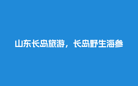 山东长岛旅游，长岛野生海参的价位是多少