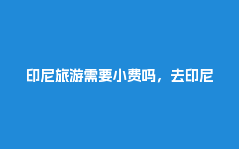 印尼旅游需要小费吗，去印尼需要多少钱