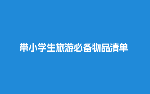 带小学生旅游必备物品清单 寒假回家带什么行李