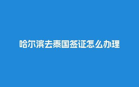 哈尔滨去泰国签证怎么办理